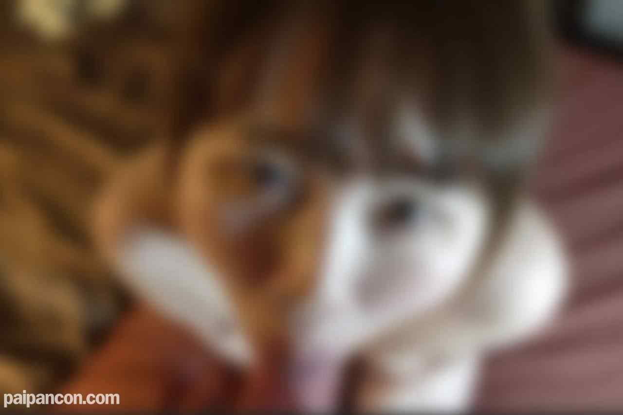 FC2-PPV-4186661 - ※初回数量限定930pt※【4K特典付き】【顔出し】【中出し】経営能力０で返済不可と感じましたので、ネイリストの美人人妻のアヘ顔晒します。