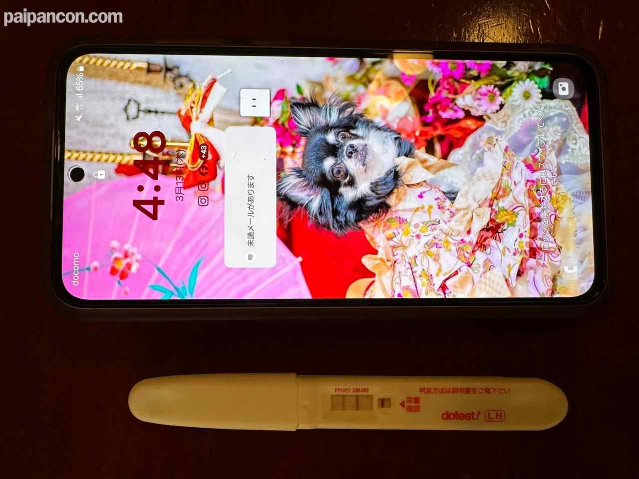 FC2-PPV-4775245 - ももかちゃん２４歳危険日*宮拡張＃６ thumbnail_2.jpg