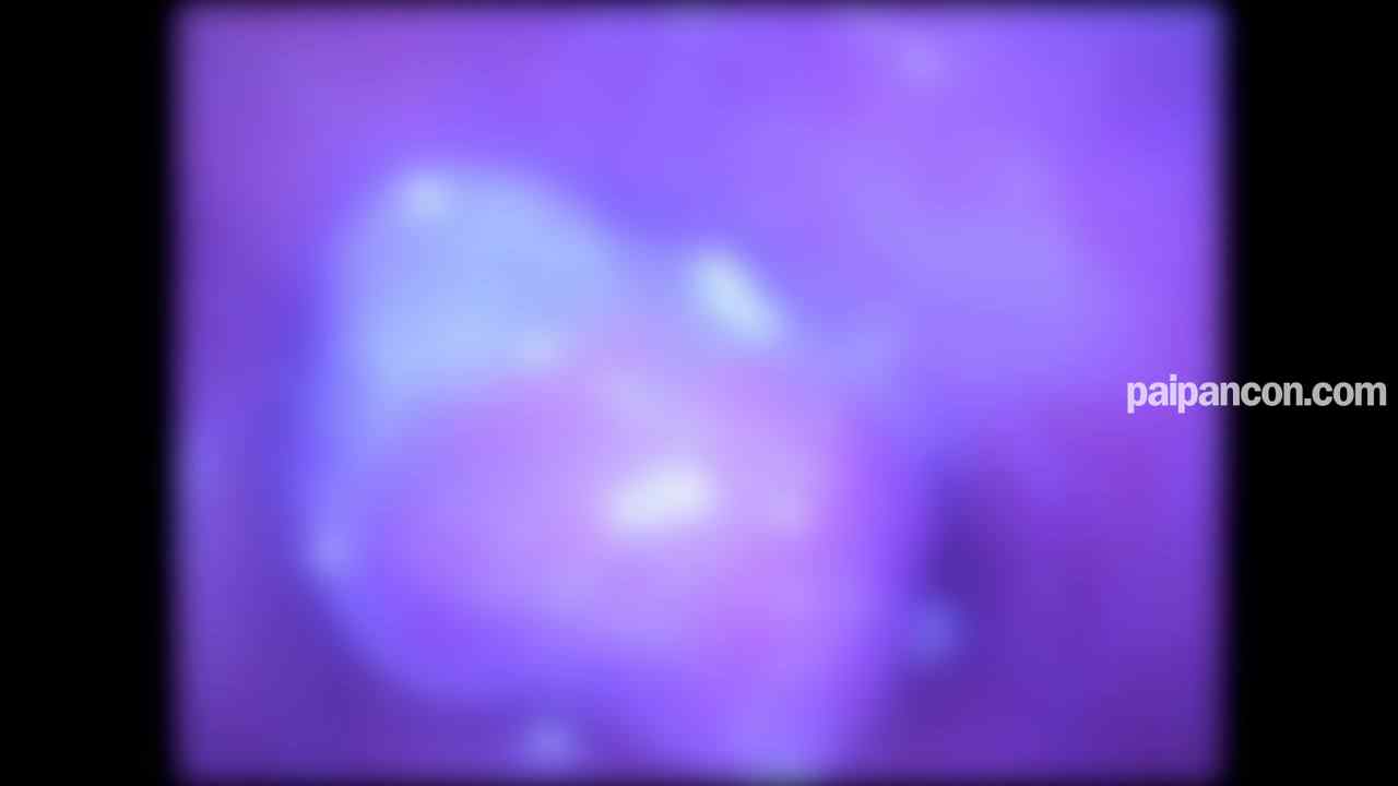 FC2-PPV-4816675 - ♀192 【初撮り】高すぎるので生半可な気持ちで買わないでください 素人レベルが高すぎるちょーかわいい美女よつはちゃんとの中だしセックス ★特典で無修正と膣内カメラ thumbnail_9.jpg